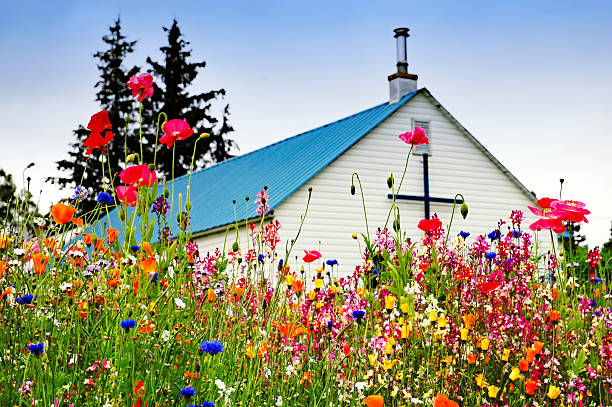 Multicolored wildflowers in front of the church stock photo