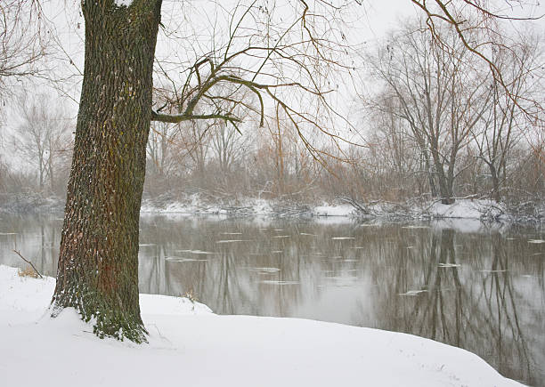 река и елка, покрытые снегом - winter stream river snowing стоковые фото и изображения