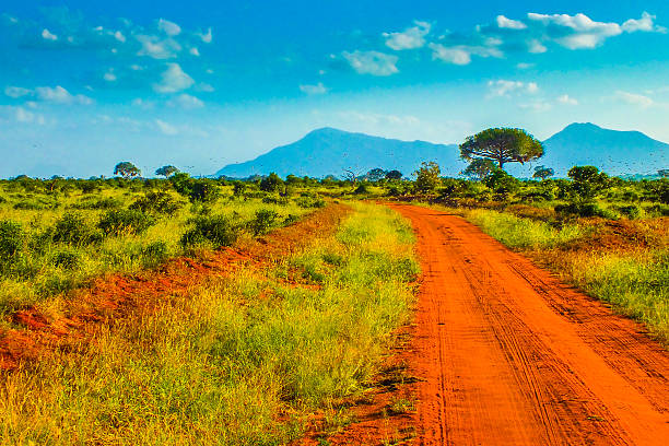 istock Red roads - Safari in Kenya 535521746