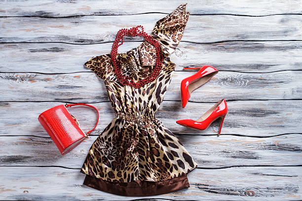 istock Leopard dress and bead necklace. 535522502