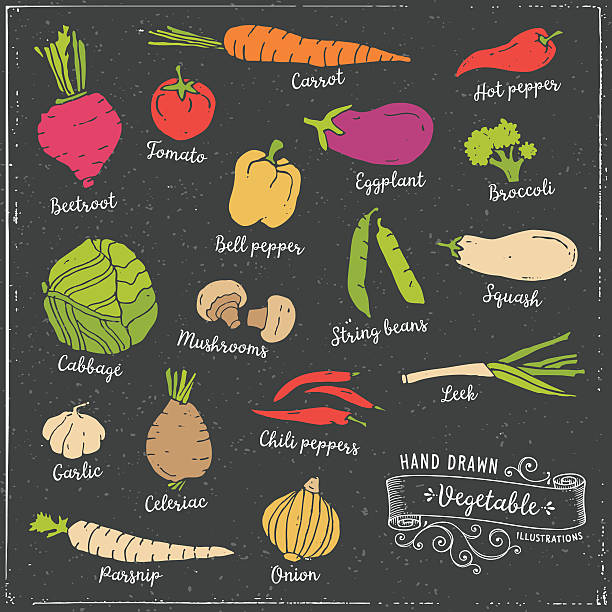 Hand Drawn Vegetables vector art illustration