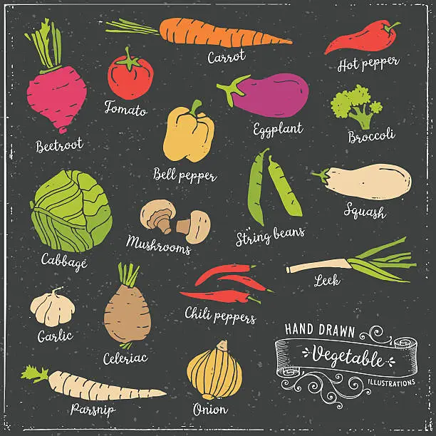 Vector illustration of Hand Drawn Vegetables