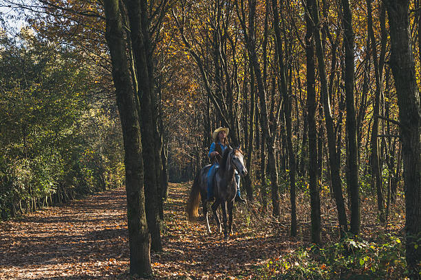 istock Pretty girl riding her grey horse 535523092