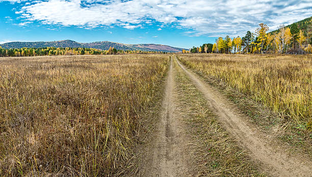 istock Straight road in field, autumn 535523878