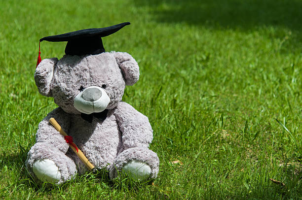 istock Teddy bear graduate bachelor's degree. 535524442