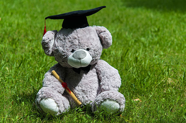 istock Teddy bear graduate bachelor's degree. 535524476