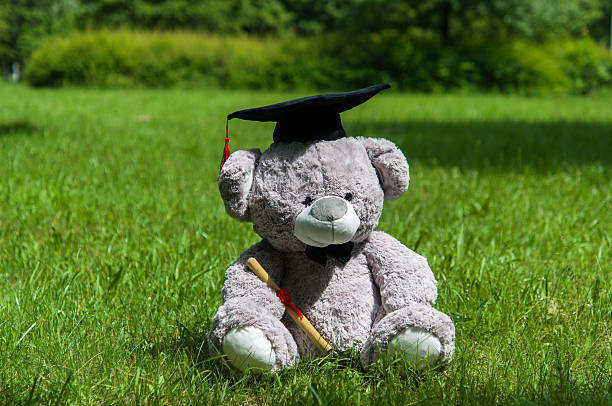 istock Teddy bear graduate bachelor's degree. 535524514