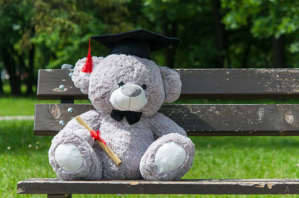istock Teddy bear graduate bachelor's degree. 535524694