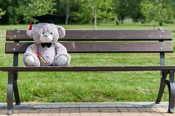istock Teddy bear graduate bachelor's degree. 535525178