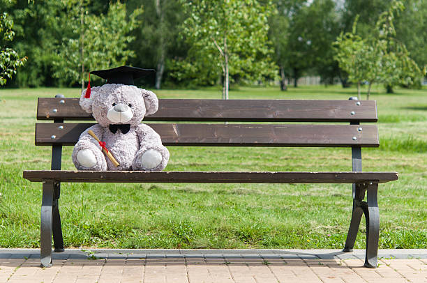 istock Teddy bear graduate bachelor's degree. 535525210