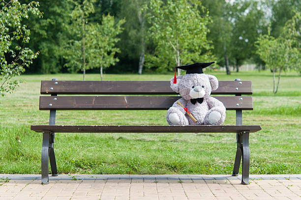 istock Teddy bear graduate bachelor's degree. 535525250