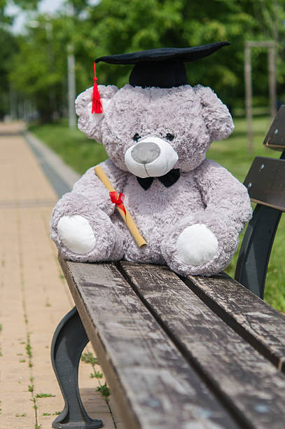 istock Teddy bear graduate bachelor's degree. 535525546