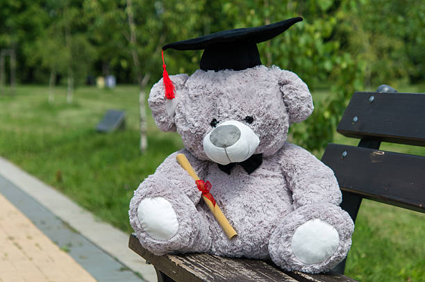 istock Teddy bear graduate bachelor's degree. 535525684