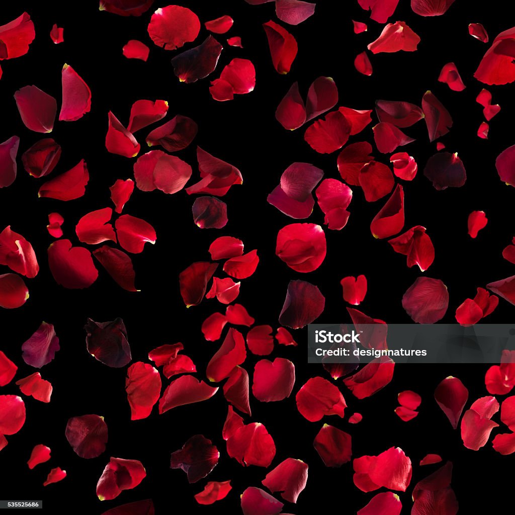 Red Rose Petals Texture On Black Stock Photo - Download Image Now - Rose -  Flower, Red, Black Background - iStock