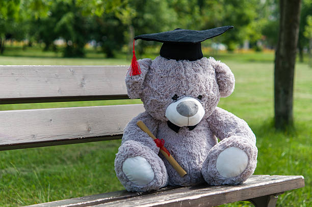 istock Teddy bear graduate bachelor's degree. 535525712