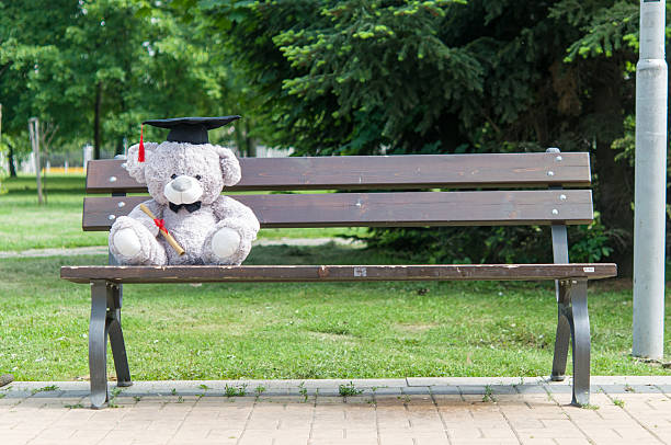 istock Teddy bear graduate bachelor's degree. 535525940