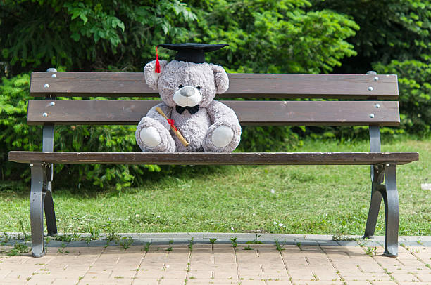 istock Teddy bear graduate bachelor's degree. 535525986