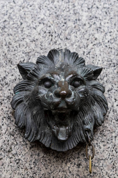 istock Brass Lion Head on stone wall background 535526090