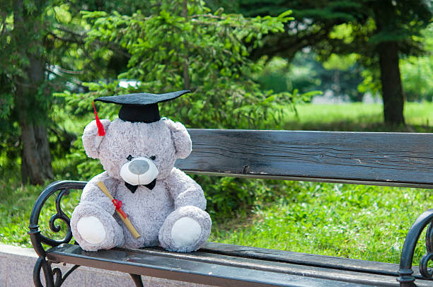 istock Teddy bear graduate bachelor's degree. 535526404
