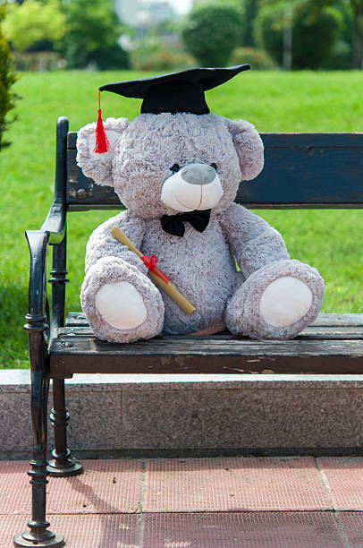 istock Teddy bear graduate bachelor's degree. 535526514
