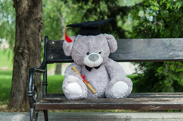 istock Teddy bear graduate bachelor's degree. 535526768