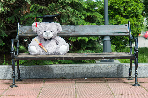 istock Teddy bear graduate bachelor's degree. 535526830