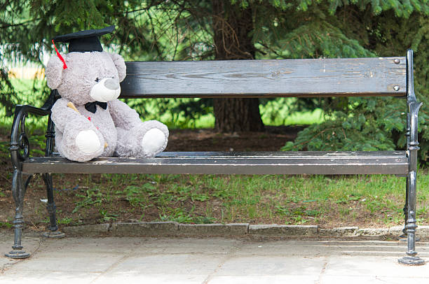 istock Teddy bear graduate bachelor's degree. 535527000