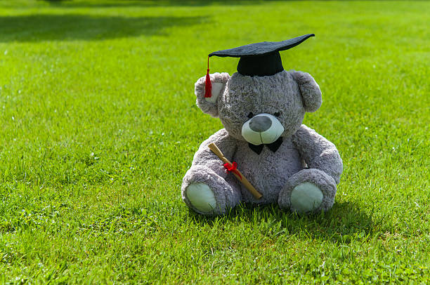 istock Teddy bear graduate bachelor's degree. 535527438