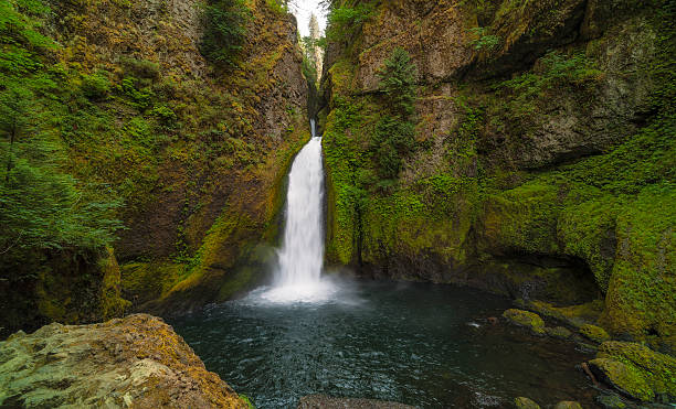 istock Columbia River Gorge Wahcella Falls 535539013