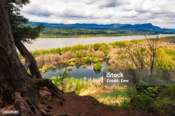 Columbia River Gorge View From Ponytail Falls Trail Stock Photo - Download Image Now