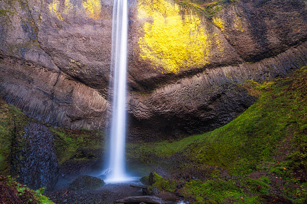 istock Latourell Falls in the Columbia River Gorge 535539289