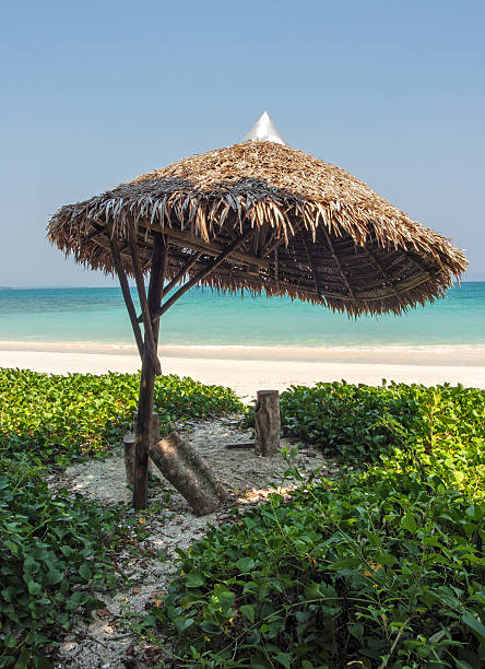 istock Tropical Bech on Havelock Island 535540147