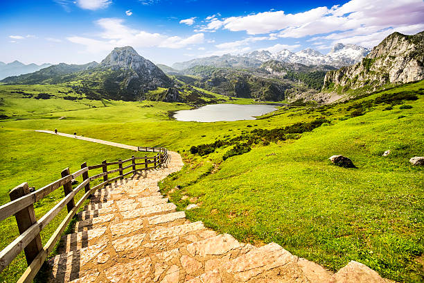 lago ercina, laghi di covadonga, asturias, spagna. - covadonga foto e immagini stock