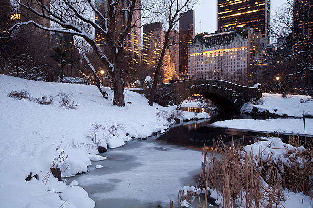 istock Central park in New York City 535543181