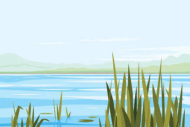 Vector illustration of Bulrush Plants River Landscape