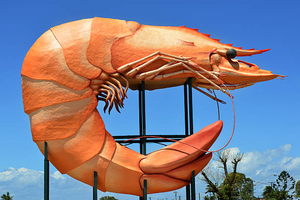 Ballina, Australia - January 29, 2015: Big Prawn, popular tourist destination in Australia.The prawn had been slated for demolition by the Ballina Shire Council in 2009, but the community protested the demolition and came together to show just how much they loved the land mark, and successfully petitioned for it to remain.