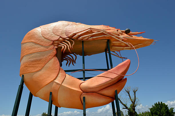 Ballina, NSW, Australia - January 29, 2015: Big Prawn, popular tourist destination in Australia.The prawn had been slated for demolition by the Ballina Shire Council in 2009, but the community protested the demolition and came together to show just how much they loved the land mark, and successfully petitioned for it to remain.