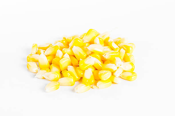 istock Pile of yellow corn kernels isolated on white background 535557013
