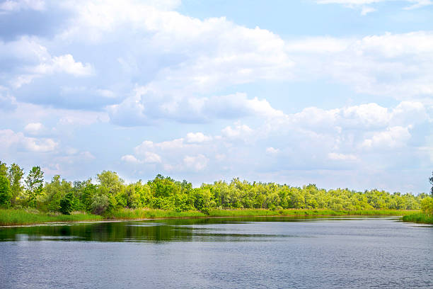 istock landscape river Dnieper marshes and Kherson 535558022