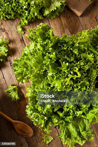 Fresh Healthy Organic Green Leaf Lettuce Stock Photo - Download Image Now - 2015, Appetizer, Dietary Fiber
