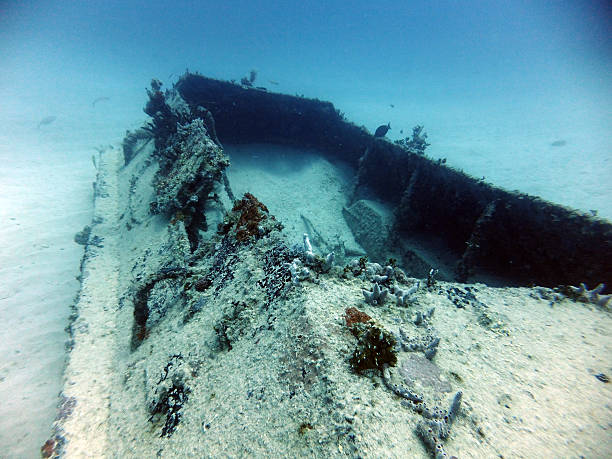 Sunk army transport vehicle Underwater wreck of an armored military transport vehicle in Carribean sea. (Cuba) bay of pigs invasion stock pictures, royalty-free photos & images