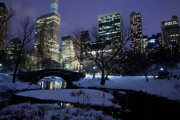 istock Central park in New York City 535565871