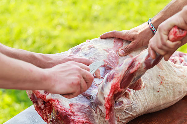 fazenda fresco cortar a carne de cordeiro - lamb chop shank cooked - fotografias e filmes do acervo