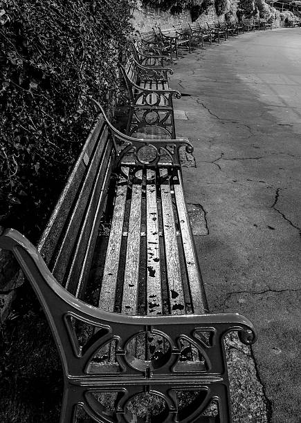 istock row of park benches black and white image, 535570255