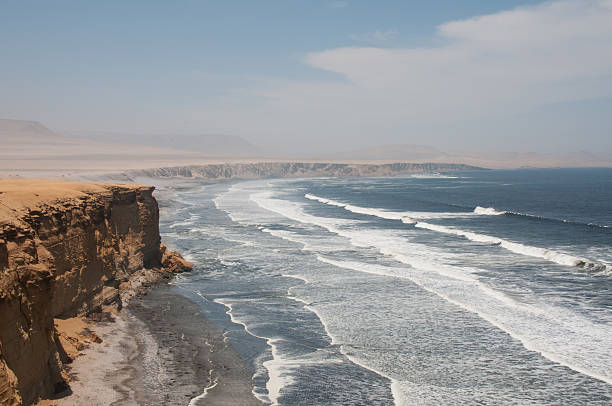 istock Paracas National Reserve 535584782