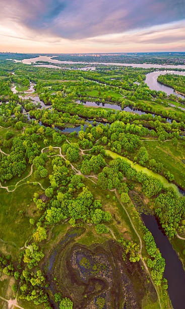 istock Beautiful sunset on the field. Aerial view. 535585212