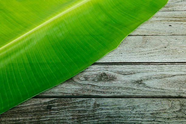 istock Banana leaves on wooden background 535600220