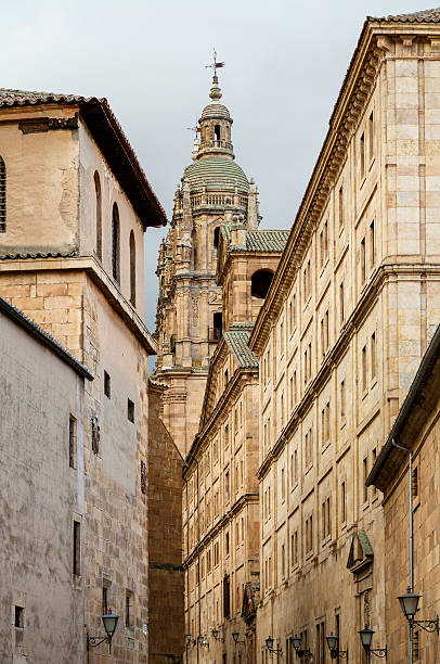 Details of the Cathedral and monuments of Salamanca Spain