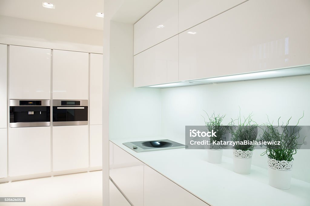 Modern and expensive kitchen interior View of modern and expensive kitchen interior 2015 Stock Photo