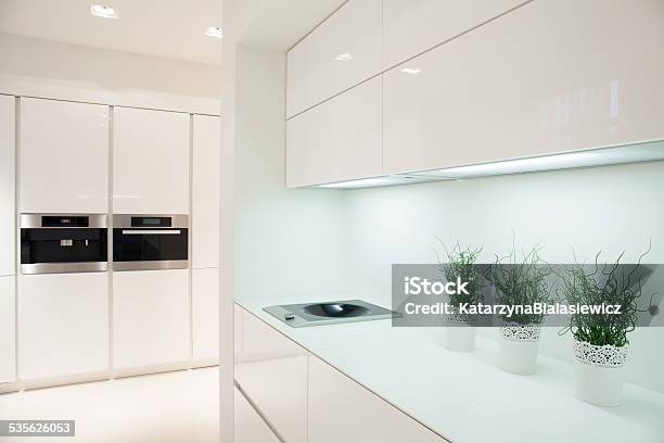 Modern And Expensive Kitchen Interior Stock Photo - Download Image Now - 2015, Apartment, Appliance
